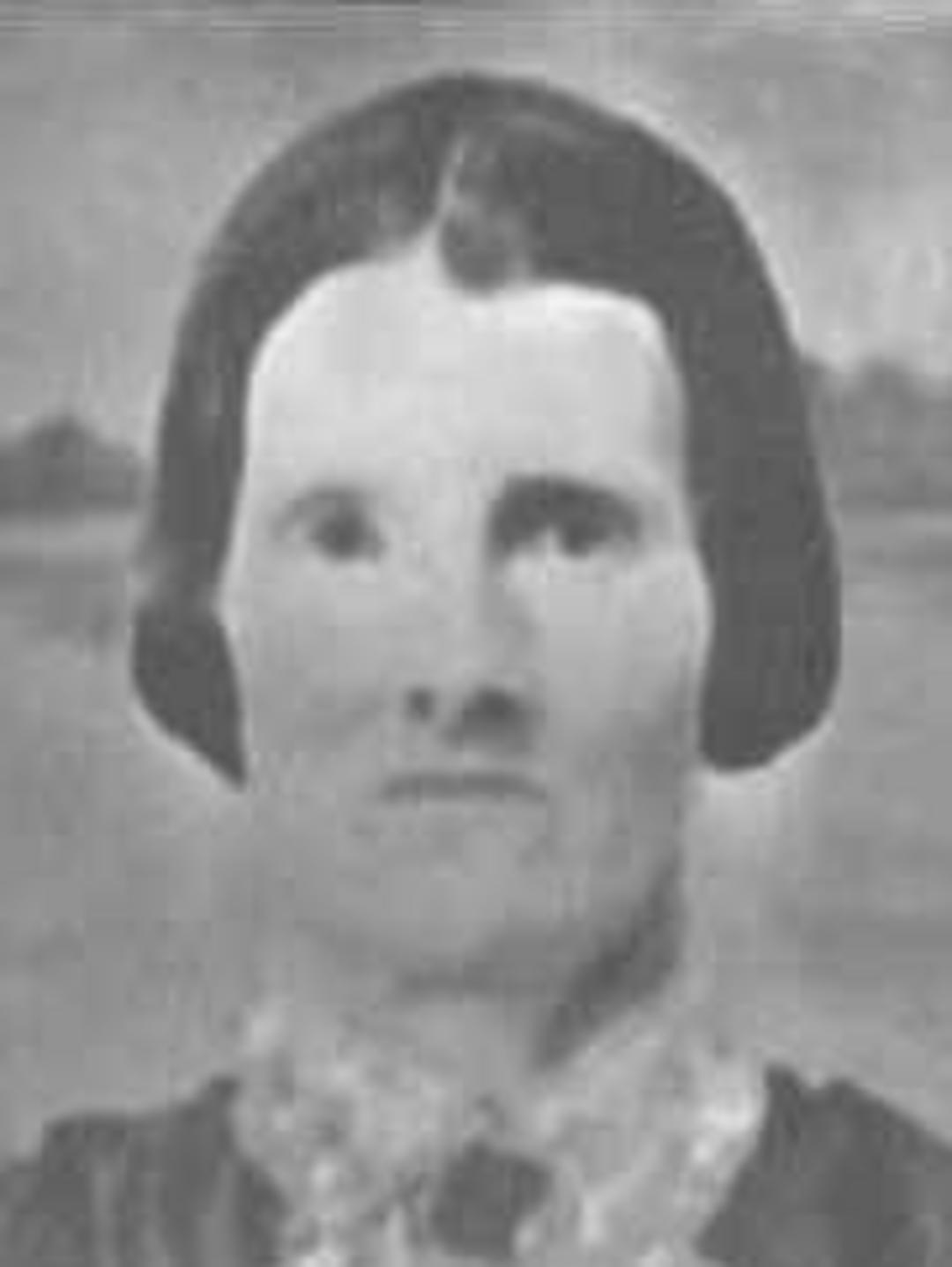 Elizabeth Andrews (1818 - 1904) Profile